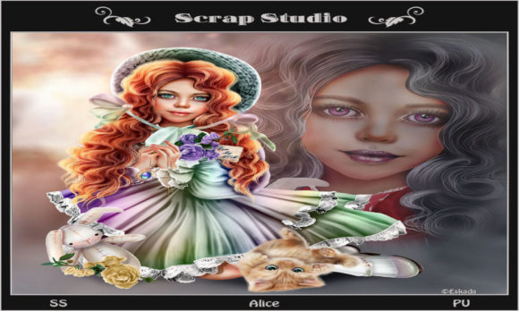 Alice and Rabbit: Evaluating the Artistic Merit of High-Resolution PNG Assets for Professional Design